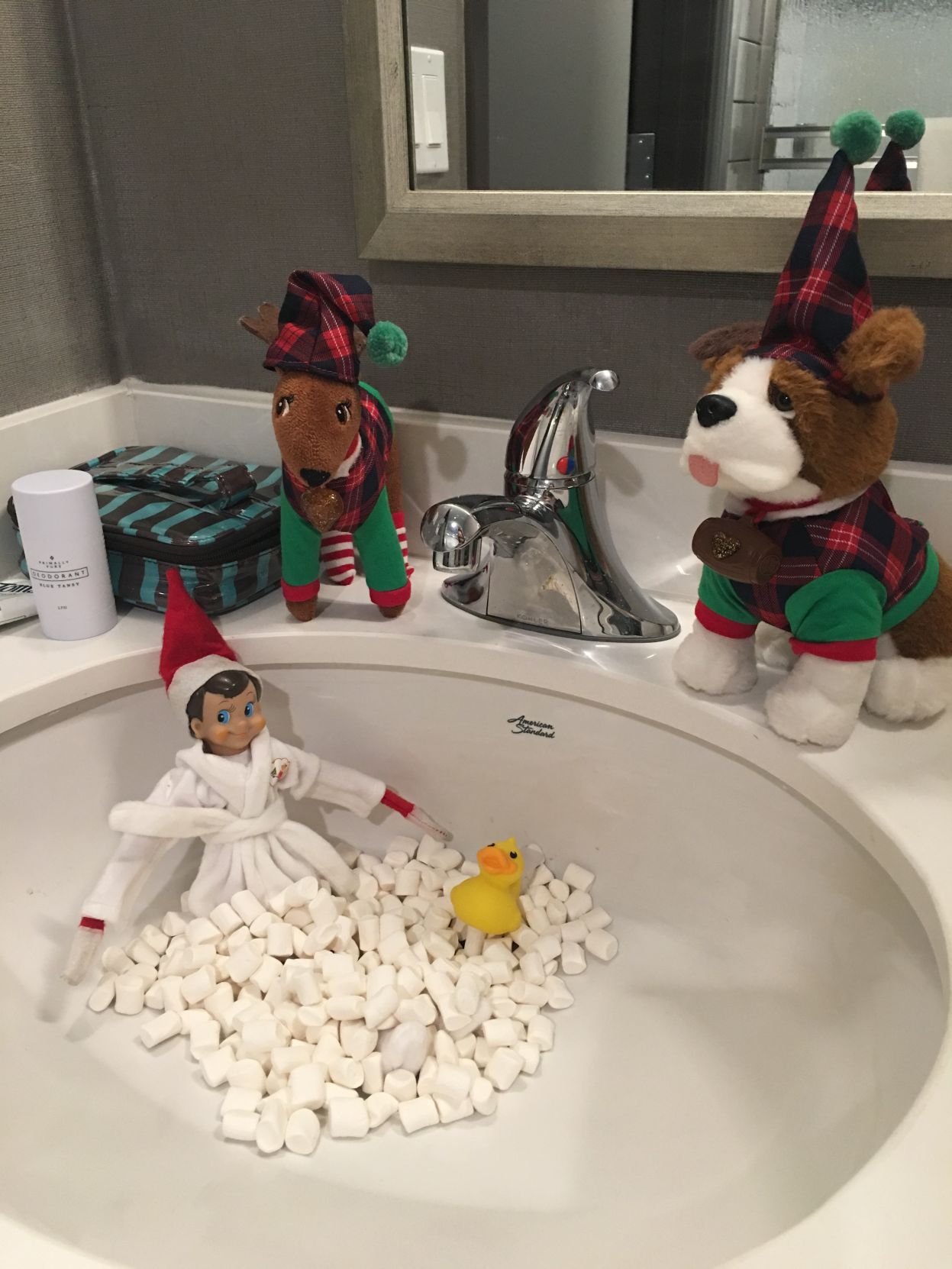 Elf on the Shelf